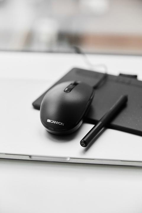 Actual product image Canyon Optical mouse with cable M-10, Black (Cable)