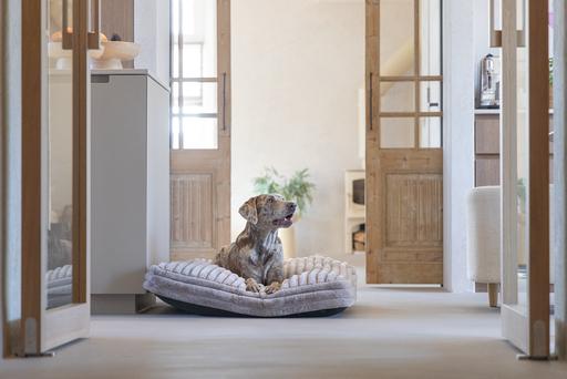 Image du produit Designed by Lotte Coussin de repos Reza (Chien)
