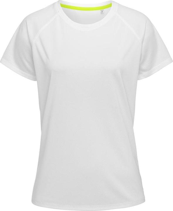 Actual product image Absolute Apparel Tshirt raglan sleeves (L)