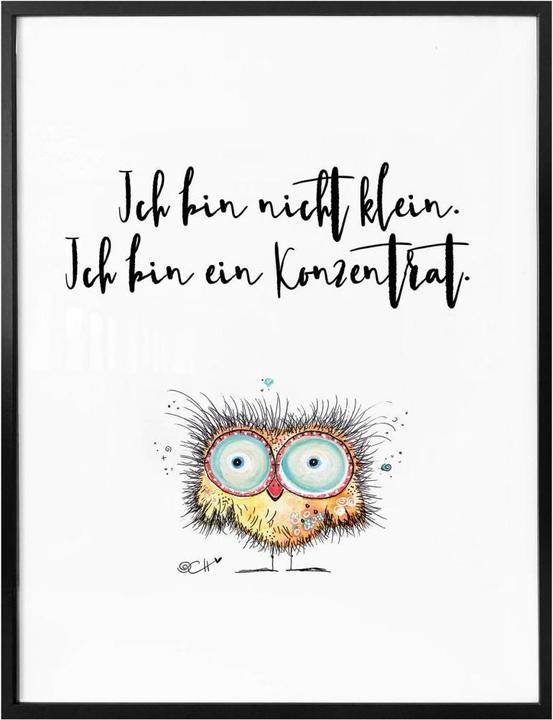 Produktbild Trenddeko Hagenmeyer - Ich bin nicht klein... (30 x 40 cm)