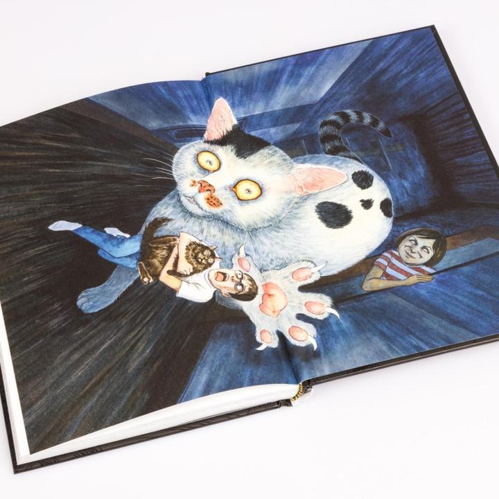 Actual product image Junji Itos Katzentagebuch (German, Junji Ito, 2025)