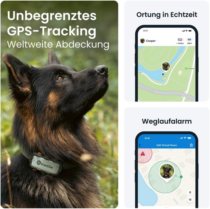 Immagine prodotto Tractive Cane GPS (XL, Cane, Passeggiare, Jogging, Sport cane)