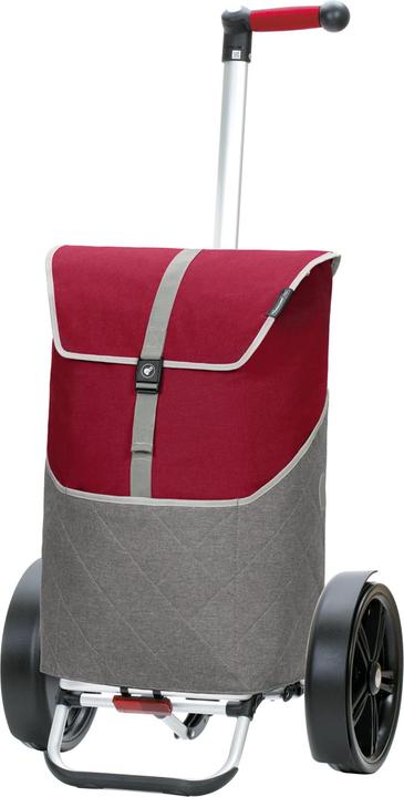 Actual product image Andersen Chariot d'achat Tura Lasse
