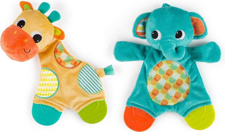 Actual product image Bright Starts Snuggle & Teethe