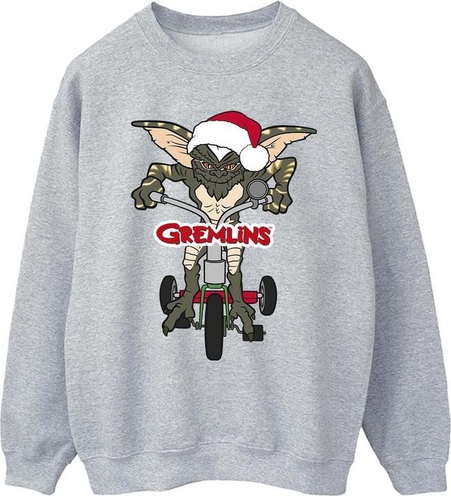 Image du produit Universal Textiles - Sweat BIKE LOGO - Homme (XL)
