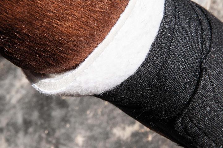 Image du produit TdeT Sous-bandes pour cheval en mousse postérieur