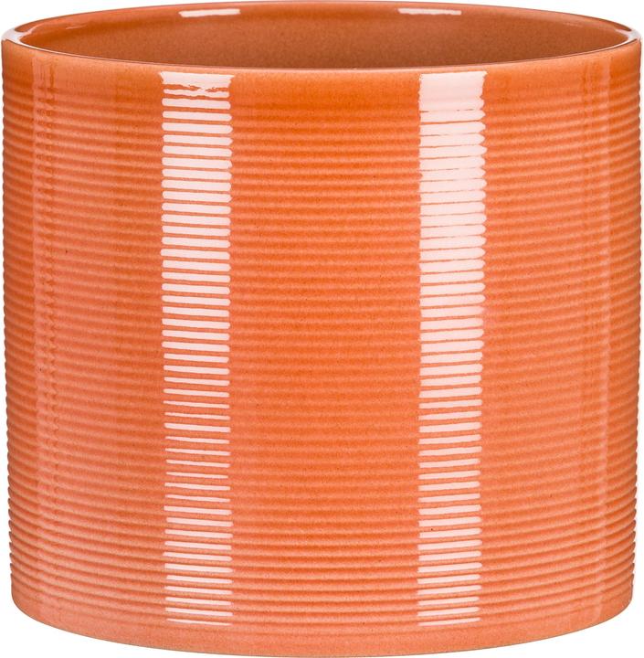 Image du produit Scheurich Papaye (12 cm)