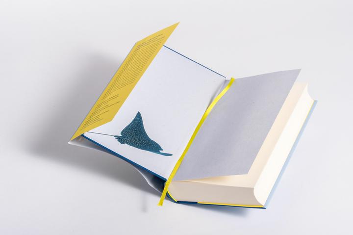 Actual product image Das grosse Spiel (German, Eva Bonné, Richard Powers, 2024)