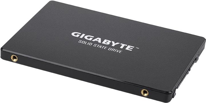 Immagine prodotto Gigabyte GP-GSTFS31256GTND (256 GB, 2.5")