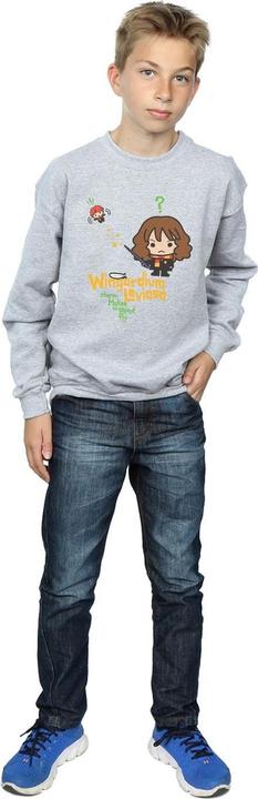Produktbild Wingardium Leviosa Sweatshirt Jungen (152, 158)