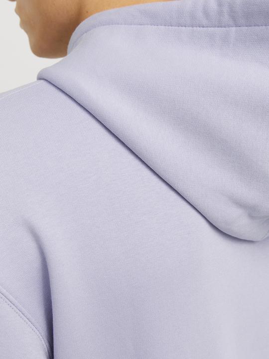 Immagine prodotto Jack & Jones Jjestar Basic Sweat Hood Noos (XXL)