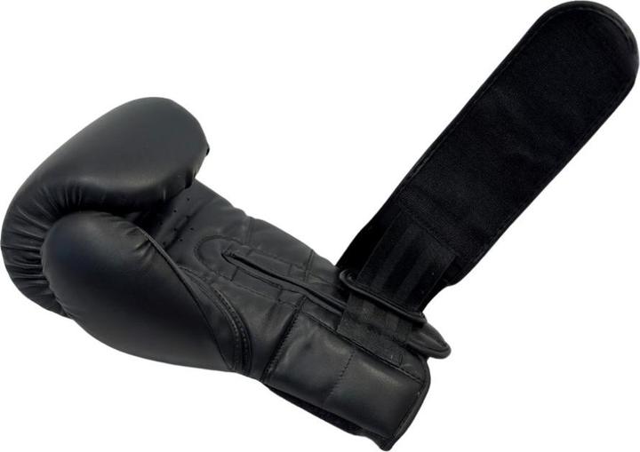 Produktbild NRG Fitness Sparring Handschuhe (12 OZ, 12)