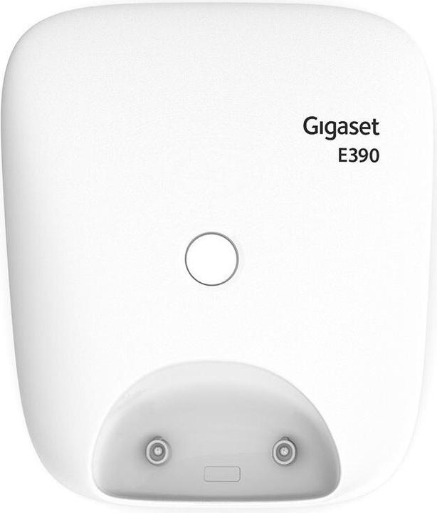 Actual product image Gigaset E390