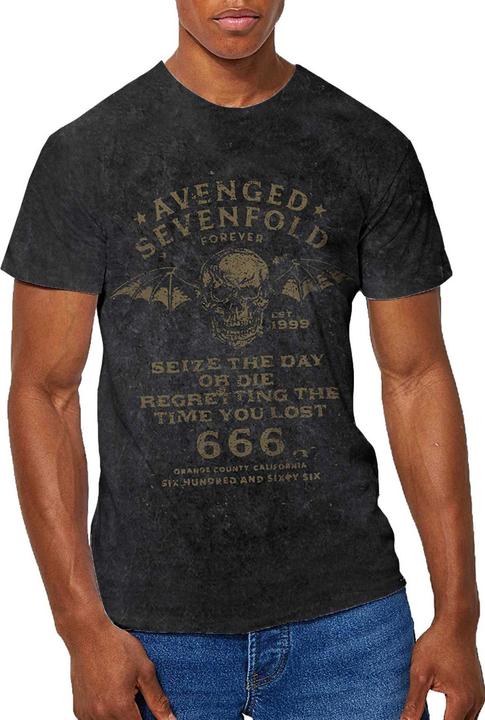 Avenged Sevenfold Seize The Day