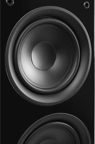 Actual product image Fenton SHF80B (1 pair, 250 W)