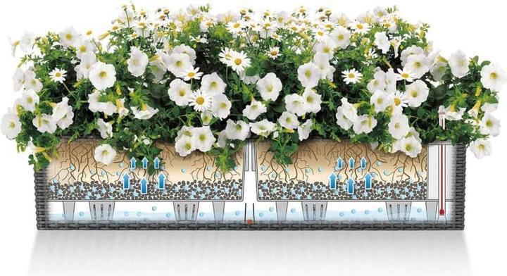 Immagine prodotto Lechuza Balconera Cottage (19 cm)