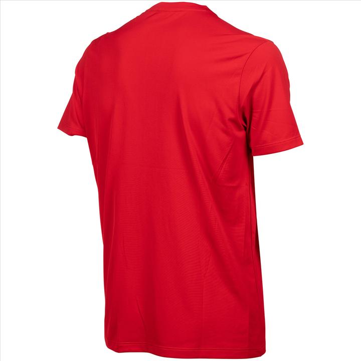 Actual product image Arena Team T-Shirt Solid (M)