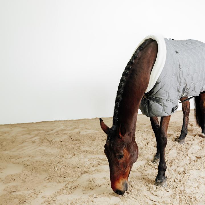 Actual product image Fouganza Combo (145 cm)
