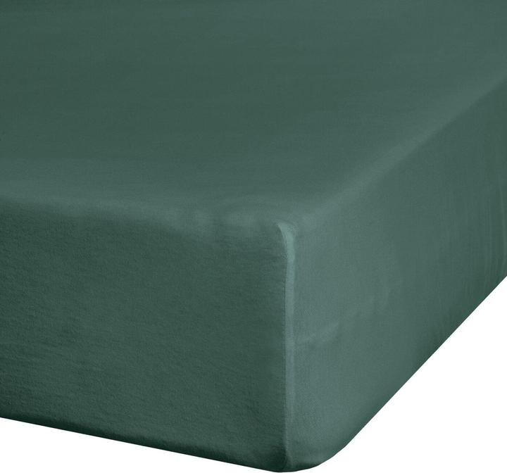 Actual product image Eurofirany BY / JERSEY3 / CZ 90X200 + 25CM 140 (90 x 200 cm)