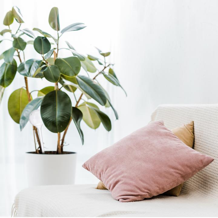 Produktbild Relaxdays Bewässerungskugeln (Bewässerungskugeln)