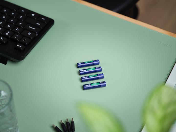 Immagine prodotto Trust Batterie Ricaricabili USB-C 4p (4 pz., AAA, 500 mAh)