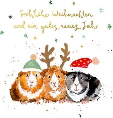 Louise Mulgrew Weihnachtskarte Fröhliche Weihnachten Meerschweinchen - von