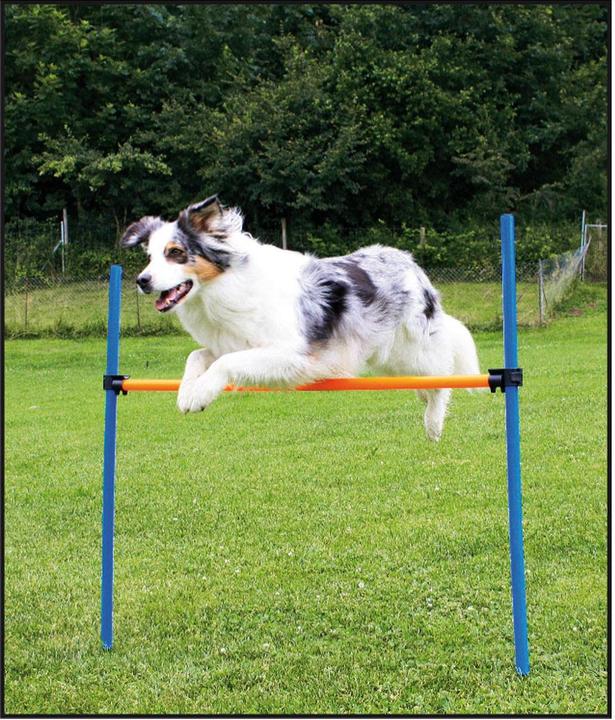 Produktbild Swisspet Hürden Set (One Size, Agility)