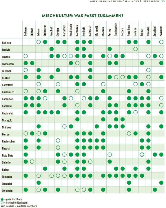 Produktbild Das grosse Gemüse- und Obstgartenbuch (Deutsch, Joachim Mayer, 2025)