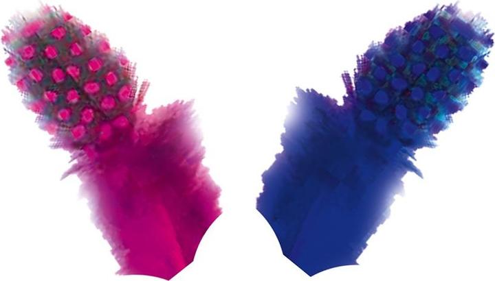Actual product image Janod Creative Activity Set Girly