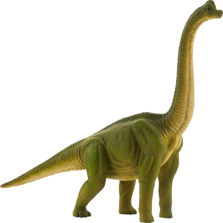 Actual product image Animal Planet Brachiosaurs