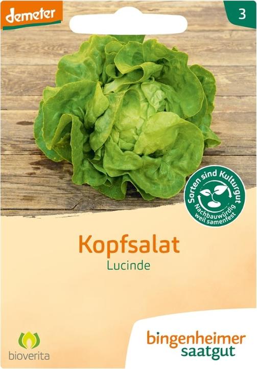 Bingenheimer Saatgut Kopfsalat Lucinde (Keimlinge)