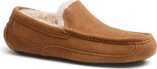Ugg Ascot (43)