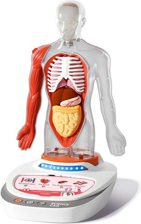 Produktbild Science Can Mein Körper - eine Wissensreise mit Quiz und Sound/ My Body Voice Pedia (Deutsch, Niederländisch, Englisch, Italienisch, Französisch, Spanisch)