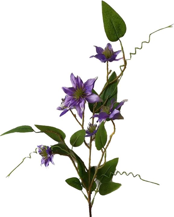 Produktbild NTK-Collection Clematis Lila 2er Set 89 cm (89 cm)