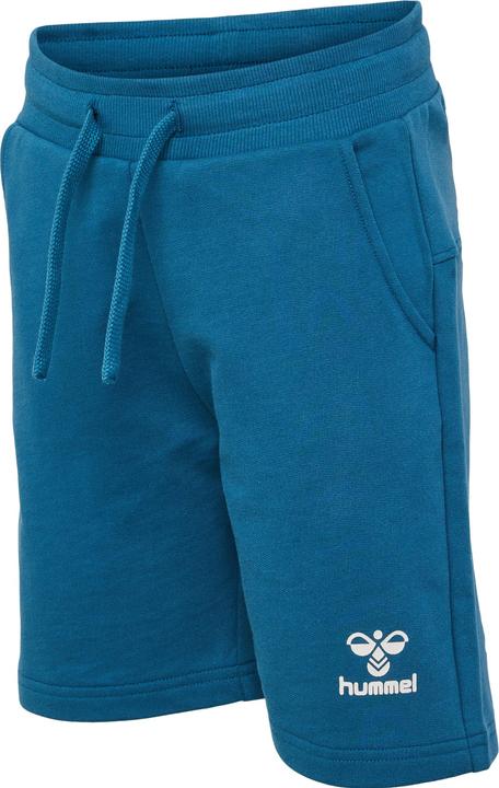 hummel Hmlflow Shorts