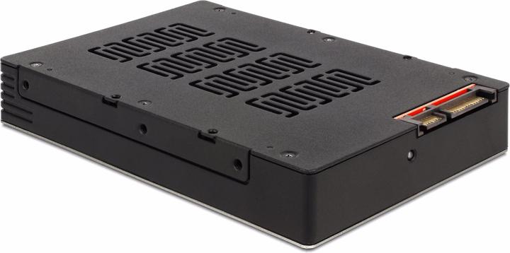 Actual product image Delock Hot-Swap for 1x 2.5SSD/HDD