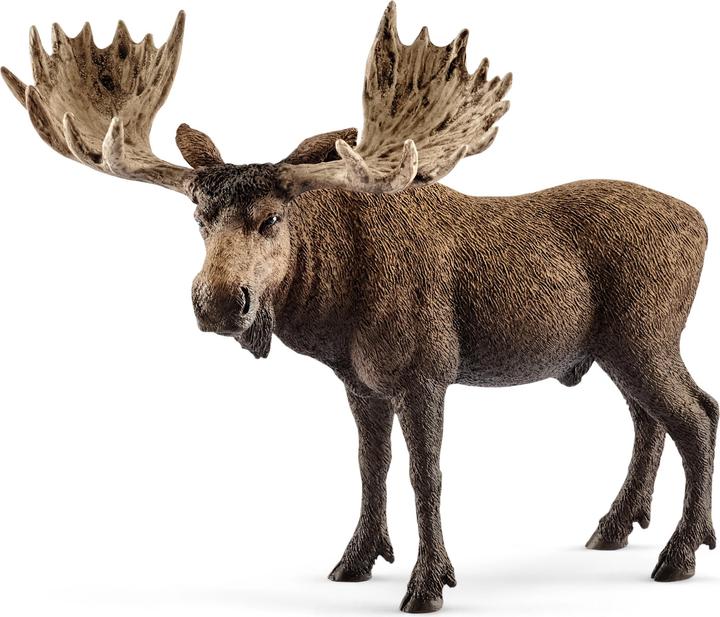 Schleich Elch Bull