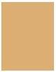 Actual product image Estée Lauder Futurist Aqua Brilliance™ (1W0 Warm Porcelain)