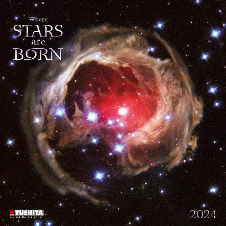 Produktbild Where Stars are Born 2024 (30 x 30 cm, Harter Einband, Italienisch, Französisch, Polnisch, Englisch, Niederländisch, Tschechisch, Spanisch, Deutsch)