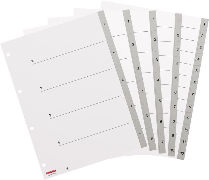 Actual product image Kolma Register A4 superstrong 1-7 7-piece grey