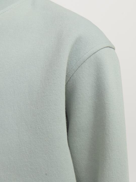 Immagine prodotto Jack & Jones Jorvesterbro Sweat Crew Neck Bn Mni (110)