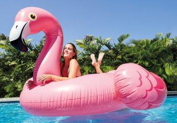 Image du produit Intex Flamingo Ride On