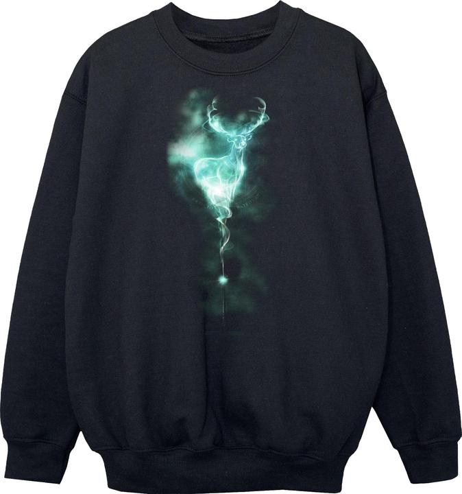 Image du produit Patronus Mist Sweatshirt garçon (128)