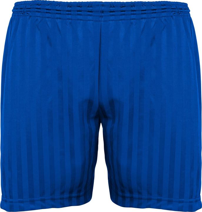 Bleu roi