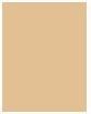 Actual product image Artdeco Rich Treatment (12 Vanilla Rose)