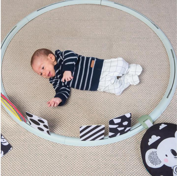 Actual product image Taf Toys Activities Hoop All Around Me