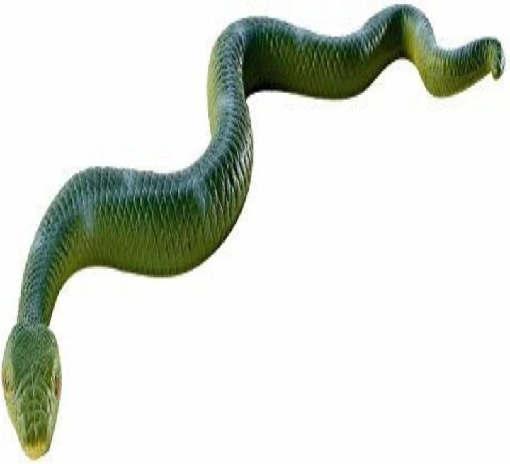 Actual product image Bullyland Boa Constrictor