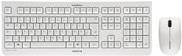Actual product image CHERRY DW 3000 (DE, Wireless)