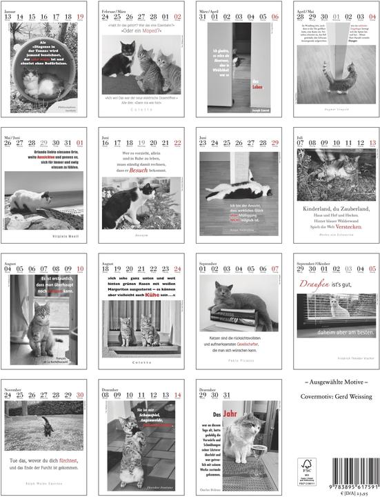Produktbild Der literarische Katzenkalender (24 x 32 cm, Kein Einband, Deutsch)