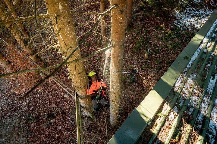Produktbild Metabo MA-MS 25 (Akku Kettensäge)